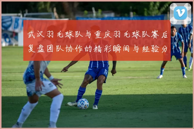 武汉羽毛球队与重庆羽毛球队赛后复盘团队协作的精彩瞬间与经验分享