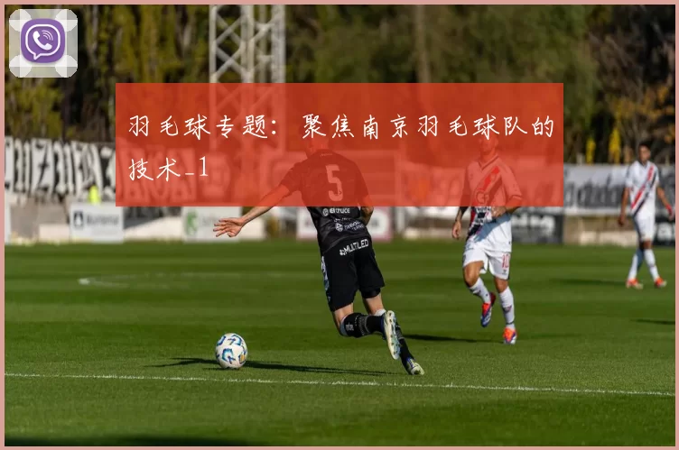 羽毛球专题：聚焦南京羽毛球队的技术_1