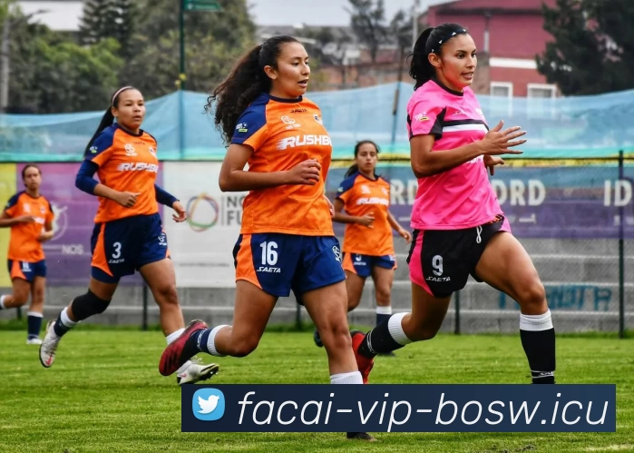 App Interface Preview