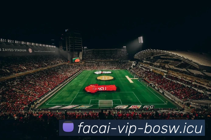 星空体育APP 封面图